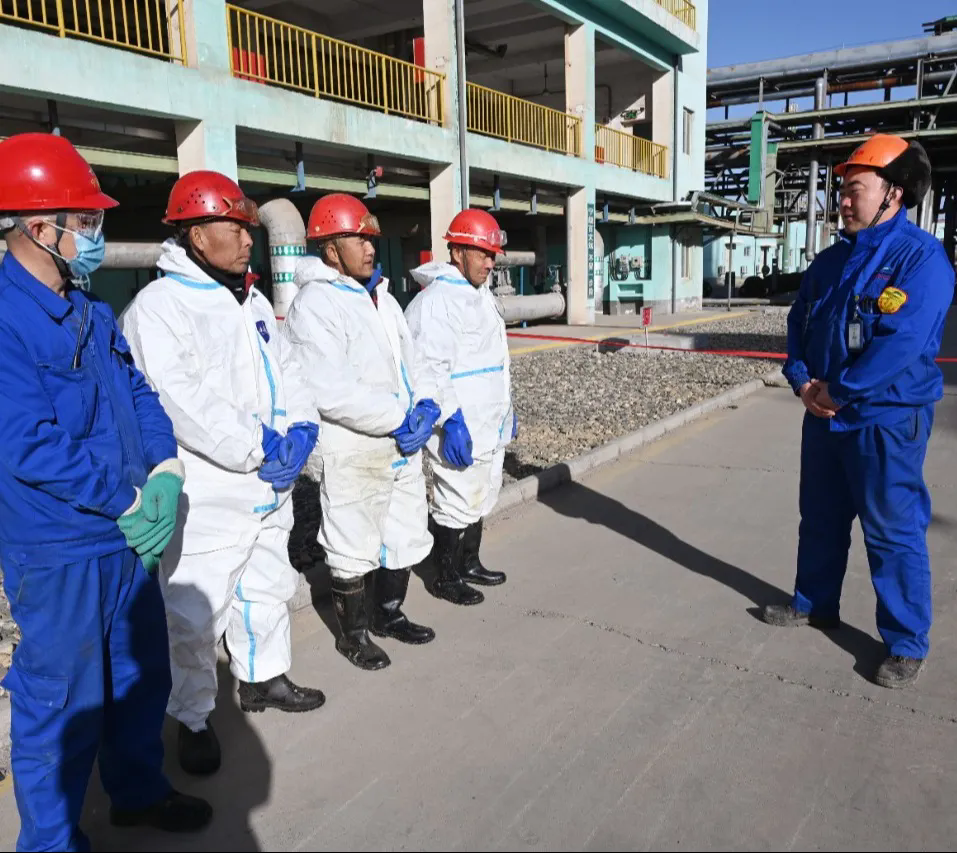 1764147165207439.png 2..webp.png