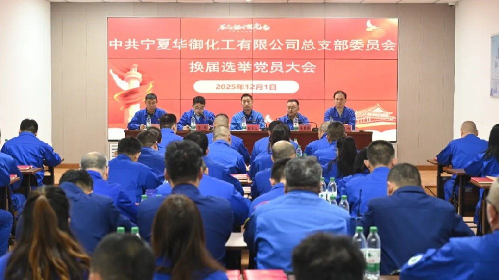 公司党总支部委员会换届选举党员大会.png